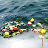 Flowers float in the Pacific Ocean during a Southern California burial at sea.