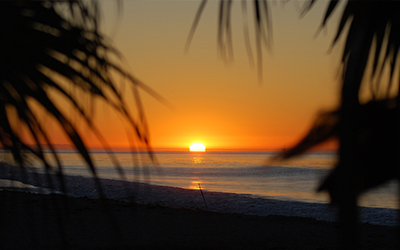 A sunset over the Pacific Ocean is seen from behind two palm trees in Newport Beach, California.